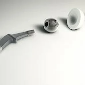 Эндопротезирование